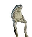 Floating emoji