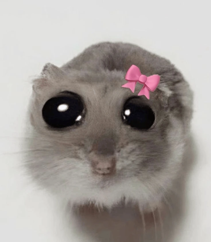 Hamcute emote