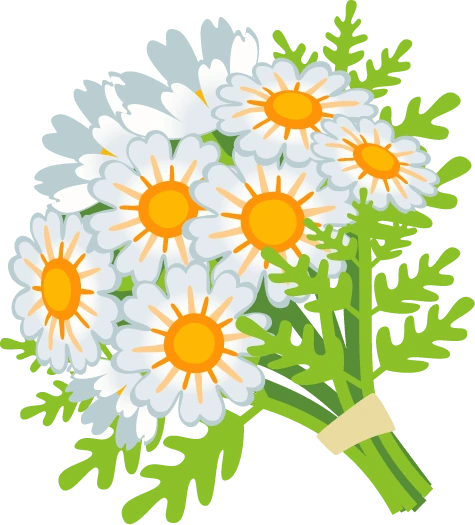 daisybouqet emote
