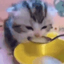 soup emote