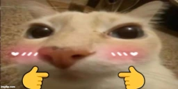 otagShy emote