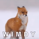 WIMDY static emote