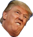 Donald_trump_angry emote