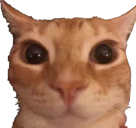 3 emote