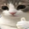 catThumbsup emote
