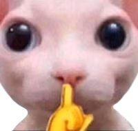 bingus_shh emote