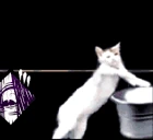 CATBERUNNING4REGRESSIONS emote