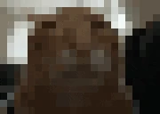buhrate emote