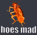 hoes_mad emote