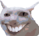 bonkcatsmile emote