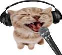 catSing static emote