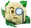 smartfiol emote