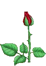 Rose_2 emote