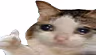 ok emoji