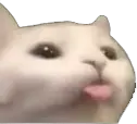 CE_Blep emote
