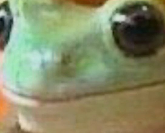 admirefrog emote