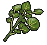 BitterHerbaMystica emote