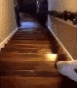 stairs emote