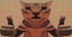 kakokak emote