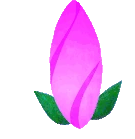 magentabloomingflower emote