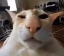 guh emote