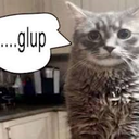 glup static emote