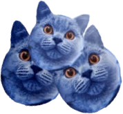 catberries emote