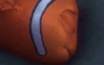 NemoDead emote