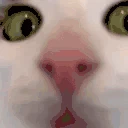 fuh emote