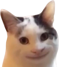 HappyCat emote