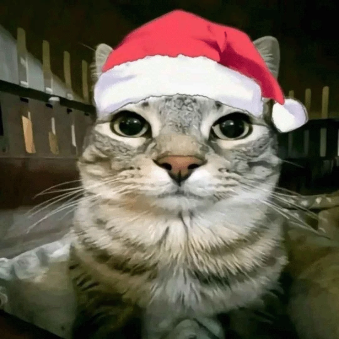 zazumerricristmas emote