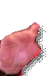 yap0 emote