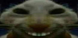 xddStare emote