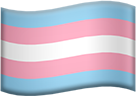 transgender_flag static emote