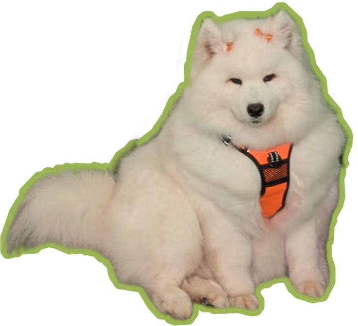 Thistledoge emote