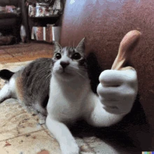 ThumbsUP emote