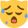 stop emote