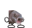OOOOMEGADANCE animated emote