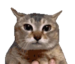 pluh emote