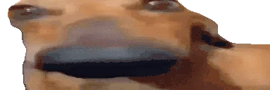 DooooooooogLookingSussyAndCute emote