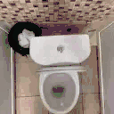 toiletJAM animated emote