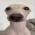 nice_balls emote