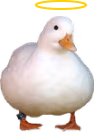 HolyDuck emote