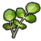 Watercress emote
