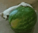Melon3 emoji