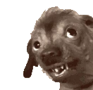creatureLookUp emote