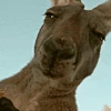 SusAsf emote