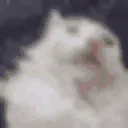 bruhbruh emote