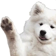 Wave_Doggo emote