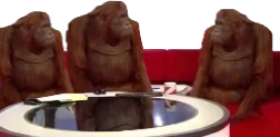 monkeMeeting emote